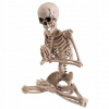 Kostra dekorácie Kostra kostra jogíni Helloween (Kostra dekorácie Kostra kostra jogíni Helloween) Kostra dekorácie Kostra kostra jogíni Helloween (Kostra dekorácie Kostra kostra jogíni Helloween)