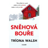 Sněhová bouře Sněhová bouře