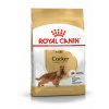 Royal Canin Cocker Adult 3 kg Royal Canin Cocker Adult 3 kg