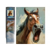 NORIMPEX Diamantové maľovanie Udivený kôň 30 x 40 cm NORIMPEX Diamantové maľovanie Udivený kôň 30 x 40 cm
