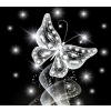 Norimpex Diamantové maľovanie 7D Nočný motýľ 30 x 40 cm Norimpex Diamantové maľovanie 7D Nočný motýľ 30 x 40 cm