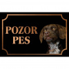 Francúzsky španiel - Kovová tabuľka POZOR PES Francúzsky španiel - Kovová tabuľka POZOR PES