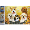 NORIMPEX Diamantové maľovanie Psí kamaráti 30x40cm NORIMPEX Diamantové maľovanie Psí kamaráti 30x40cm