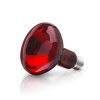 Infračervená žiarovka 100W ( Žiarovka červená k infralampe - 100W )