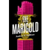 The Marigold The Marigold