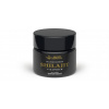 AjemFIT Shilajit Slnkom Sušený - 60 kapsúl AjemFIT Shilajit Slnkom Sušený - 60 kapsúl