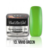 UV Painting Nail Art gel 13 - Vivid Green UV Painting Nail Art gel 13 - Vivid Green