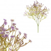 Autronic Gypsophila - umelá kytica, farbafialová KN7042 PUR Autronic Gypsophila - umelá kytica, farbafialová KN7042 PUR