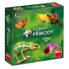 DINO Rodinná hra Zázraky prírody DINO Rodinná hra Zázraky prírody