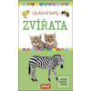 Zvířata výukové karty Zvířata výukové karty