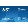 iiyama ProLite / LH6554UHS-B1AG / 64,5