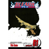 Bleach, Vol. 61 Bleach, Vol. 61