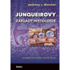 Junqueirovy základy histologie - Anthony L. Mescher Junqueirovy základy histologie - Anthony L. Mescher