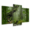 Obrázok Triptych Rainforest Moss 3d 90x60 (Obrázok Triptych Rainforest Moss 3d 90x60) Obrázok Triptych Rainforest Moss 3d 90x60 (Obrázok Triptych Rainforest Moss 3d 90x60)