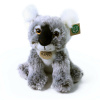 Plyšová koala sediaca 26 cm ECO-FRIENDLY Plyšová koala sediaca 26 cm ECO-FRIENDLY