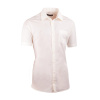 Šampaň pánska košeľa slim fit 100% bavlna non iron Assante 40239, Velikost 37/38 (S) Šampaň pánska košeľa slim fit 100% bavlna non iron Assante 40239, Velikost 37/38 (S)