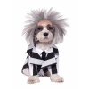 Kostým na pejska Beetlejuice S Kostým na pejska Beetlejuice S