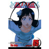 Bleach Volume 65 - Tite Kubo Bleach Volume 65 - Tite Kubo