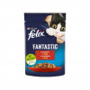 FELIX Fantastic s hovězím v želé 85g FELIX Fantastic s hovězím v želé 85g