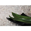 ZEN Travertine Brick 30 Travertínové mozaiky DUNIN (30,5x30,5cm/1ks) ZEN Travertine Brick 30 Travertínové mozaiky DUNIN (30,5x30,5cm/1ks)