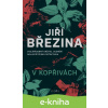 E-kniha V kopřivách - Jiří Březina E-kniha V kopřivách - Jiří Březina