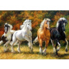 Norimpex Diamantové maľovanie Štyri cválajúce kone 30 x 40 cm Norimpex Diamantové maľovanie Štyri cválajúce kone 30 x 40 cm