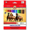 Koh-i-noor Triocolor Jumbo 36 Col. 3145 Crayons (Koh-i-noor Triocolor Jumbo 36 Col. 3145 Crayons) Koh-i-noor Triocolor Jumbo 36 Col. 3145 Crayons (Koh-i-noor Triocolor Jumbo 36 Col. 3145 Crayons)
