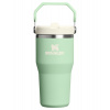 Stanley The IceFlow Flip Straw 2.0 Tumbler 600 ml 20oz Pistachio Stanley The IceFlow Flip Straw 2.0 Tumbler 600 ml 20oz Pistachio