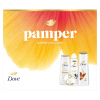 Dove Nourishing sada: antiperspirant, 150 ml + sprchový gél, 225 ml + šampón na vlasy, 250 ml + telový krém, 300 ml Dove Nourishing sada: antiperspirant, 150 ml + sprchový gél, 225 ml + šampón na vlasy, 250 ml + telový krém, 300 ml