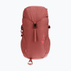 Turistický batoh detský Deuter Climber 22 l redwood/hibiscus Turistický batoh detský Deuter Climber 22 l redwood/hibiscus