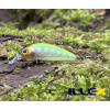 Wobler ILLEX Chubby Minnow 35 SP - Chart Back Trout Wobler ILLEX Chubby Minnow 35 SP - Chart Back Trout