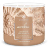 Sviečka AROMATHERAPY 0,41 KG COCONUT & SANDALWOOD, aromatická v dóze, 3 knôty | Goose Creek Sviečka AROMATHERAPY 0,41 KG COCONUT & SANDALWOOD, aromatická v dóze, 3 knôty | Goose Creek
