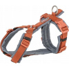 Trixie Premium trekking, postroj pre psa, hrdzavý/grafitový, M-L Trixie Premium trekking, postroj pre psa, hrdzavý/grafitový, M-L