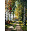 Norimpex diamantové maľovanie Cesta lesom pri jazere 30 x 40 cm Norimpex diamantové maľovanie Cesta lesom pri jazere 30 x 40 cm