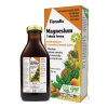 SALUS Floradix Magnesium tekutá forma 1x250 ml SALUS Floradix Magnesium tekutá forma 1x250 ml
