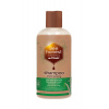 Zdravý den Šampón BIO aloe vera a BIO med (suché a farbené), 250ml Zdravý den Šampón BIO aloe vera a BIO med (suché a farbené), 250ml