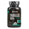 MaxxWin Tribulus 90% + Piperine 90 kapsúl MaxxWin Tribulus 90% + Piperine 90 kapsúl