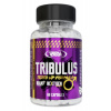 Real Pharm Tribulus 1000mg, 60caps Caps: 60 kapsúl Real Pharm Tribulus 1000mg, 60caps Caps: 60 kapsúl
