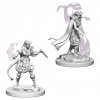 D&D Nolzur's MarvelousMiniatures - Tiefling Female Sorcerer D&D Nolzur's MarvelousMiniatures - Tiefling Female Sorcerer