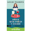 E-kniha Hřích mám pořád v záloze - Lucie Šilhová, Lenka Samešová (ilustrátor) E-kniha Hřích mám pořád v záloze - Lucie Šilhová, Lenka Samešová (ilustrátor)