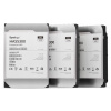 Synology HAS5300 12TB, HAS5300-12T Synology HAS5300 12TB, HAS5300-12T