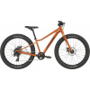 Cannondale Kids Trail Plus 24 Cannondale Kids Trail Plus 24