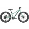 Cannondale Kids Trail Plus 20 Cannondale Kids Trail Plus 20