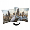 DEKORATÍVNY VANKÚŠ HARRY POTTER 40x40 SOVA HEDWIGA HOGWARTS PRE MLÁDEŽ DEKORATÍVNY VANKÚŠ HARRY POTTER 40x40 SOVA HEDWIGA HOGWARTS PRE MLÁDEŽ