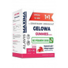 Alavis MAXIMA Gelowa Gummies jahoda 120tbl+60cps Alavis MAXIMA Gelowa Gummies jahoda 120tbl+60cps