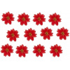 Vianočné ozdoby - Polecja Bethlehem Star Red Red Small 12 PCS (Vianočné ozdoby - Polecja Bethlehem Star Red Red Small 12 PCS) Vianočné ozdoby - Polecja Bethlehem Star Red Red Small 12 PCS (Vianočné ozdoby - Polecja Bethlehem Star Red Red Small 12 PCS)