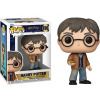 Funko Pop! 196 Harry Potter Harry Potter Funko Pop! 196 Harry Potter Harry Potter
