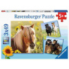 Ravensburger - Puzzle 3x49 Koníky - 40-99 dielov Ravensburger - Puzzle 3x49 Koníky - 40-99 dielov