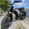 Pionver P80 elektrický bicykel Pionver P80 elektrický bicykel