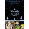 Wrinkle in Time (Madeleine L'Engle,Hope Larson)(Brožovaná) Wrinkle in Time (Madeleine L'Engle,Hope Larson)(Brožovaná)